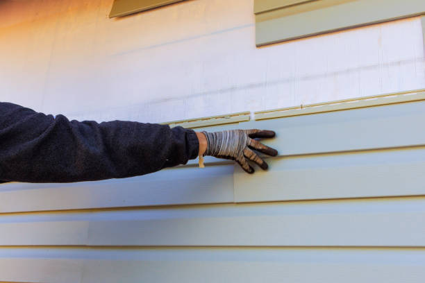 Best Aluminum Siding Installation  in Temple Hills, MD